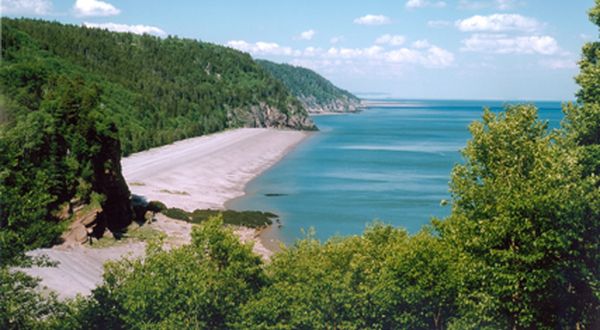 fundy_trail.jpeg