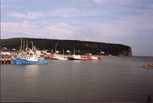High Tide on the Bay of Fundy