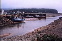 Low Tide on the Bay of Fundy