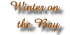 Winter Activities in Alma, N.B.